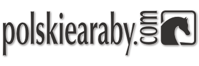 polskiearaby.com