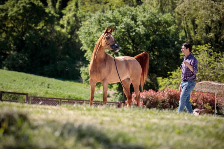 D Modi, fot. Paola Drera